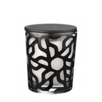 Linari Ebano Geurkaars