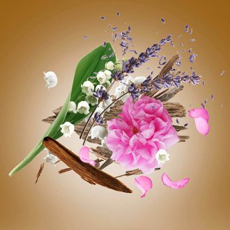 Xerjoff Alexandria II Body Cream