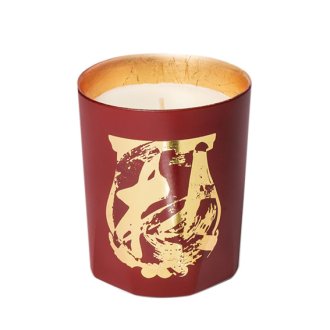 Cire Trudon Terre À Terre