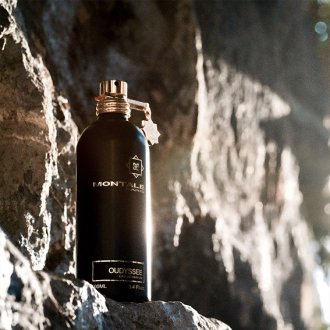Montale Oudyssee Eau de parfum 100ml