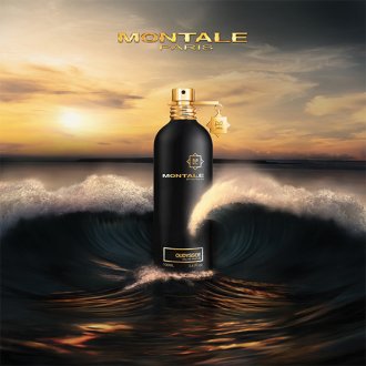 Montale Oudyssee Eau de parfum 100ml