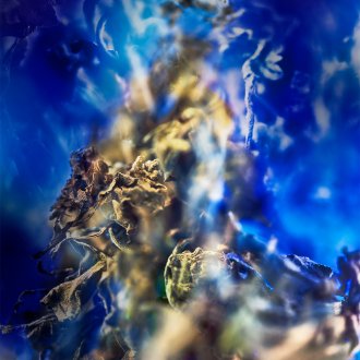 Bvlgari Le Gemme Gyan