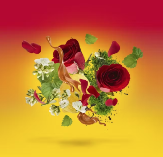 Casamorati Levar Del Sole