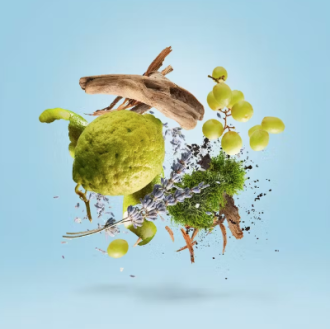 Casamorati Mefisto Gentiluomo