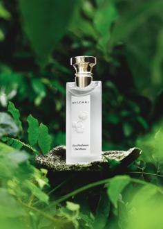 Bvlgari Eau Parfumée Thé Blanc 75ml Eau De Toilette