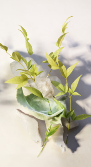 Bvlgari Eau Parfumée Thé Blanc 75ml Eau De Toilette