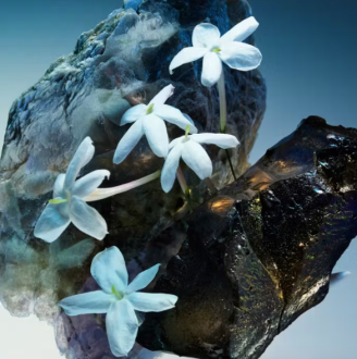 Bvlgari Le Gemme Amunae Eau De Parfum