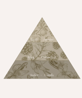 Olcay Gulsen Beauty Vivre Parfum