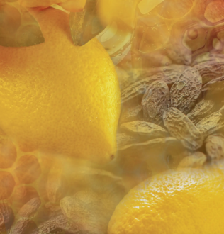 Dr Vranjes Miele e Limone Hand Soap