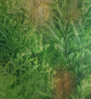 Dr Vranjes Cipresso e Rosmarino Hand Soap